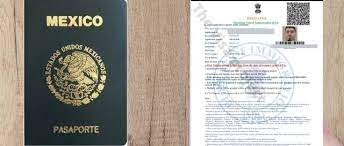 the process of obtaining a business visa for India.