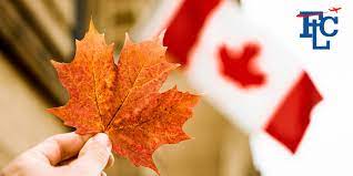 Navigating the Maple Leaf Dream: A Guide to Canada Visa Applications