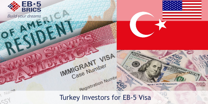 Navigating the Turkey Visa Process for Indian Citizens A Comprehensive Guide