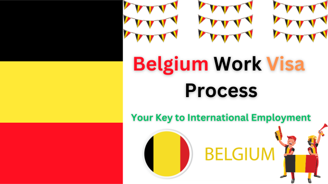 A Roadmap to U.S. Visas for Belgian Citizens